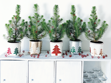 Charger l'image dans la galerie, Pots Sapins