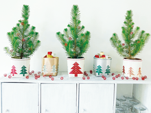 Charger l'image dans la galerie, Livret "Pots Sapins"